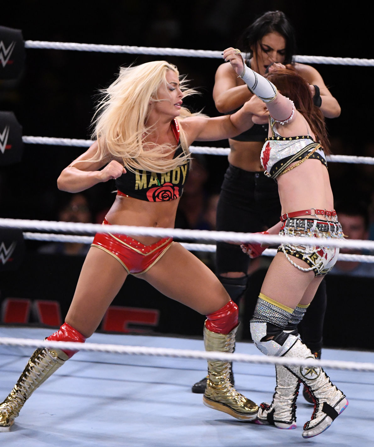 WWE at Reed Arena